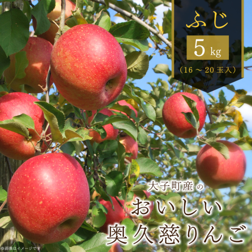 【2025年11月下旬以降順次発送】大子町産のおいしい奥久慈りんご（ふじ）5kg｜茨城県 大子町 奥久慈 りんご リンゴ フジ ふじ 蜜 蜜入り フルーツ ふるーつ 果実 かじつ くだもの 果物（AH010） 2336343 - 茨城県大子町