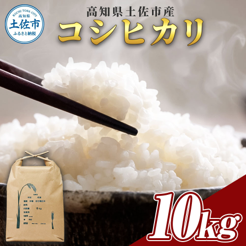コシヒカリ 10kg 10キロ 精米 白米 お米 ご飯 ごはん 米 kome こめ こしひかり 高知県産 国産 お取り寄せ 常温 高知県 高知 土佐市 2336746 - 高知県土佐市