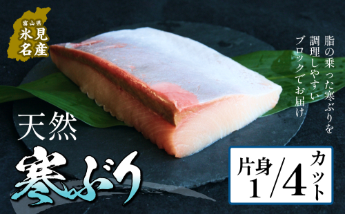 【先行予約】氷見産 天然寒ブリ 片身 １／4カット 【2025年11月中旬以降順次発送】 ブロック 釣屋魚問屋直営 ひみ岸壁市場  富山県 氷見 氷見漁港 能登 寒ブリ 天然鰤 しゃぶしゃぶ 天然 鮮魚 ブリ 産地直送 2336798 - 富山県氷見市