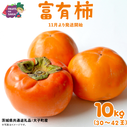 富有柿 10kg （約30～42個）【2025年11月より発送開始】（茨城県共通返礼品 [柿]：大子町産） かき 旬 お取り寄せ フルーツ 甘い 秋の味覚 [FC11-NT] 2336807 - 茨城県つくばみらい市