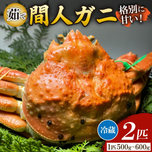 間人漁港仲買人の丸友鮮魚三代目・自慢の間人ガニ≪茹で≫[1匹 500～600g×2匹]
 2336875 - 京都府京丹後市