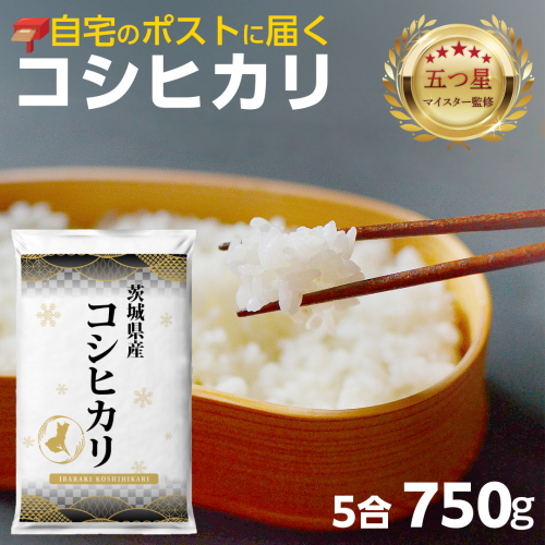 最短翌日出荷!! 【 お試しサイズ 】 コシヒカリ 750g (750g×1袋)  令和8年産 茨城県産 お試し ♪ 5合 五つ星お米マイスター監修 即納 ポスト投函 精米 茨城 お米 おこめ ごはん 白米 米 茨城産 こしひかり [DW31-NT] 2337125 - 茨城県つくばみらい市