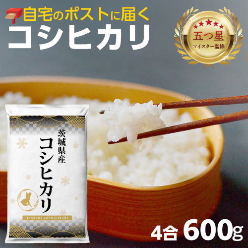 最短翌日出荷!! 【 お試しサイズ 】 コシヒカリ 600g (600g×1袋)  令和8年産 茨城県産 お試し ♪ 4合 五つ星お米マイスター監修 即納 ポスト投函 精米 茨城 お米 おこめ ごはん 白米 米 茨城産 こしひかり[DW30-NT] 2337205 - 茨城県つくばみらい市