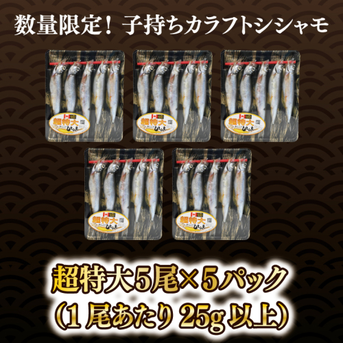 ししゃも 子持ち カラフトシシャモ 超特大 5尾 5パック 子持ちシシャモ カラフトししゃも 大洗 焼くだけ 簡単調理 2337241 - 茨城県大洗町