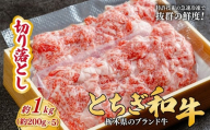 とちぎ和牛の切り落とし 1kg（200g×5）【栃木県共通返礼品】 | 牛肉 肉 お肉 産地直送 国産 国産牛 牛丼 交雑 赤身 霜降り 希少 旨味 旨み 熟成 急速冷凍 テクニカン テクニカン社 スキンパック 真空パック 真空包装 コトラミートカルチャ 栃木県 茂木町