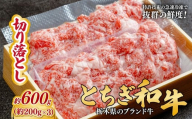 とちぎ和牛の切り落とし 600g（200g×3）【栃木県共通返礼品】 | 牛肉 肉 お肉 産地直送 国産 国産牛 牛丼 交雑 赤身 霜降り 希少 旨味 旨み 熟成 急速冷凍 テクニカン テクニカン社 スキンパック 真空パック 真空包装 コトラミートカルチャ 栃木県 茂木町
