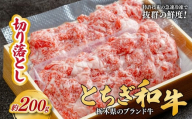 とちぎ和牛の切り落とし 200g【栃木県共通返礼品】 | 牛肉 肉 お肉 産地直送 国産 国産牛 牛丼 交雑 赤身 霜降り 希少 旨味 旨み 熟成 急速冷凍 テクニカン テクニカン社 スキンパック 真空パック 真空包装 コトラミートカルチャ 栃木県 茂木町