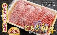 とちぎ和牛の特上カルビ 焼肉用 200g【栃木県共通返礼品】 |  牛肉 肉 お肉 カルビ 特上 バラ肉 焼肉 産地直送 国産 国産牛 交雑 赤身 霜降り 希少 旨味 旨み 熟成 急速冷凍 テクニカン テクニカン社 スキンパック 真空パック 真空包装 コトラミートカルチャ 栃木県 茂木町