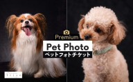 ペット撮影 プレミアムフォト撮影チケット | ペット撮影 ペット ペットフォト ペット写真 記念写真 チケット 犬 猫 撮影 記念撮影 フォト フォトスタジオ カメラマン いりそ写真館 埼玉県 狭山市