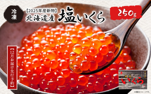 【12月お届け先行予約】【2025年産新物】北海道産 塩いくら（冷凍）250g  ABAB005 2337440 - 北海道網走市