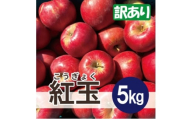 ＜26年3月出荷予定＞ 紅玉 約5kg 訳あり【1667980】