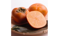 厳選たねなし柿1kg［刀根早生・平核無柿（ひらたねなしかき）］［カキ・種無柿・種無し柿・種なし柿・無核柿］［IKE282］