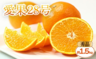 【2025年11月中旬頃から発送予定】 愛果28号  <秀品> 約1.5kg (贈答用化粧箱入り) | 紅まどんな と同品種 あいか28号 みかん 蜜柑 mikan 檸檬 オレンジ 紅マドンナ と同品種 おれんじ かんきつ 先行予約 愛媛県 松山市 ココオ Koko'o