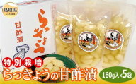 A25-025 （※お歳暮専用※）特別栽培らっきょうの甘酢漬 鳥取県 おすすめ 砂丘らっきょう