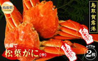 E25-026 （※お歳暮専用※）鳥取賀露港　浜茹で松葉がに（中）【期間限定】鳥取県 おすすめ 賀露港 ボイル タグ付 中2枚　浜茹で かに がに ガニ 蟹 松葉ガニ ズワイガニ