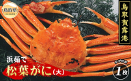 E25-027 （※お歳暮専用※）鳥取賀露港　浜茹で松葉がに（大）【期間限定】鳥取県 おすすめ 賀露港 ボイル タグ付 浜茹で かに がに ガニ 蟹 松葉ガニ ズワイガニ