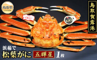 F25-024 （※お歳暮専用※）鳥取賀露港　浜茹で松葉がに　五輝星【期間限定】 鳥取県 おすすめ 賀露港 ボイル 浜茹で かに がに ガニ 蟹 松葉ガニ ズワイガニ