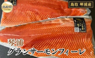 B25-065 （※お歳暮専用※）琴浦　グランサーモンフィーレ(総目方1kg~1.2kg）【数量限定】 鳥取県 おすすめ サーモン グランサーモンフィーレ 鳥取サーモン グランサーモン 琴浦町産
