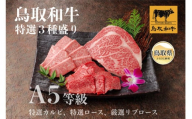 D25-023 （※お歳暮専用※）鳥取和牛 A5等級 特選３種盛り（特選カルビ150g、特選ロース150g、厳選リブロース200g） 鳥取県 おすすめ 鳥取和牛 霜降り 牛肉 牛肉食べ比べ 牛肉セット