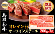 F25-026 （※お歳暮専用※）鳥取和牛オレイン55サーロインステーキ【数量限定】 鳥取県 おすすめ 和牛 鳥取和牛 600g お肉 サーロイン ブランド和牛 オレイン55 国産
