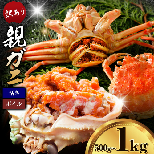 カニ 親ガニ 訳あり 500g 1000g 1kg ボイル or 活き 5杯 10杯 《12月上旬-12月末頃出荷》 SOO合同会社 鳥取県 八頭町 送料無料 蟹 かに 姿 鍋 訳アリ 2338077 - 鳥取県八頭町