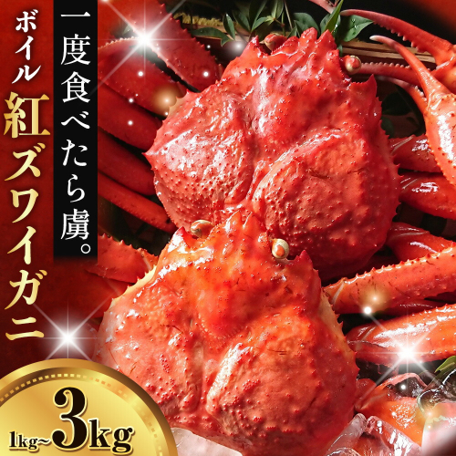 カニ 紅ズワイガニ 1kg 2kg 3kg ボイル 1杯 ～ 7杯 《9月上旬-5月末頃出荷》 SOO合同会社 鳥取県 八頭町 送料無料 蟹 かに 姿 鍋 ズワイガニ ズワイ蟹 ボイル ベニズワイ ベニズワイガニ 2338078 - 鳥取県八頭町