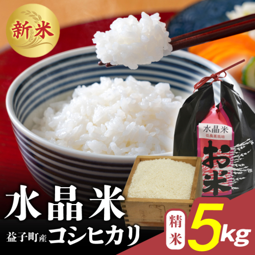 瀬尾糀店の水晶米 コシヒカリ (精米) 5kg | 水晶米 コシヒカリ 精米 ふっくら 益子町 (AK013) 2338323 - 栃木県益子町
