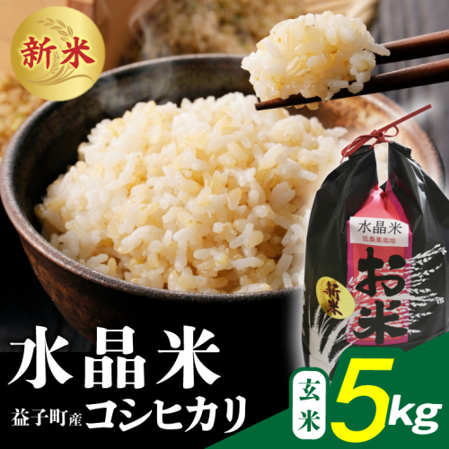 瀬尾糀店の水晶米 コシヒカリ (玄米) 5kg | 水晶米 コシヒカリ 玄米 ふっくら 益子町 (AK014) 2338325 - 栃木県益子町