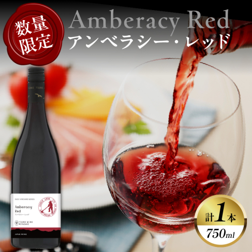 【数量限定】アンベラシー レッド(計1本) ワイン 酒 アルコール 国産_T014-046 2338371 - 宮崎県都農町
