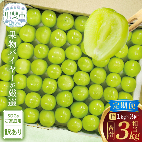 【来年（2026年/令和8年）発送＜先行予約＞】【訳アリ】【定期便】粒シャインマスカット 約1.0kg×3回 山梨県産 国産 産地直送 人気 おすすめ フルーツ 果物 くだもの ぶどう ブドウ 葡萄 わけあり ワケアリ 新鮮 甘い 皮ごと 山梨県 甲斐市 AD-278 2338423 - 山梨県甲斐市