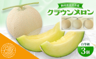 静岡県袋井市産 クラウンメロン 白等級 1.3kg 3個 静岡県 袋井市 メロン 白 フルーツ 果物 人気 1月～11月