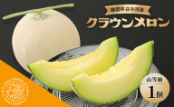 静岡県袋井市産 クラウンメロン 山等級 1.3kg 1個 静岡県 袋井市 メロン 山 フルーツ 果物 人気 1月～11月