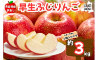 [25年10月〜発送]りんご[訳あり ご家庭用]早生ふじ 3kg 青森県産 青森 果物 フルーツ 林檎 リンゴ くだもの