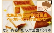 そのままでしっとりモチモチおいしい生食パン！北海道産小麦の生食パン3本セット【19115】
