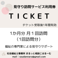 【親孝行は、ふるさと納税で】　ふるさとへ贈る安心　社会福祉士による見守り訪問サービスチケット　見守り 訪問 サービス 1か月分　月1回訪問　報告 安心 福祉 支援 サポート 代行 親孝行　社会福祉士 0005