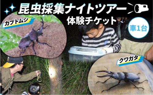 【優先貸切】NHKテレビで取り上げられました!＜先行予約＞【体験期間 2026年6月～8月中旬】虫捕り名人と行く「昆虫採集ツアー」ご利用券(グループ貸切用・車1台) 昆虫 カブトムシ クワガタ アウトドア 京都 南山城村 2338992 - 京都府南山城村