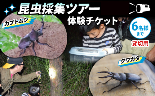 【優先貸切】NHKテレビで取り上げられました!＜先行予約＞【体験期間 2026年6月～8月中旬】虫捕り名人と行く「昆虫採集ツアー」ご利用券(グループ貸切用・車1台) 昆虫 カブトムシ クワガタ アウトドア 京都 南山城村 2338992 - 京都府南山城村