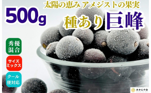 冷凍 種あり 巨峰 約500g 秀優混合 サイズミックス 和歌山県産 産地直送 ぶどう クール便  【みかんの会】 2339030 - 和歌山県有田川町