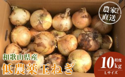 ［2026年発送分・先行予約］農家さん直送 低農薬玉ねぎ Lサイズ 10kg程度［4月中旬～7月中旬頃発送予定］［KF16］ 2339193 - 和歌山県上富田町