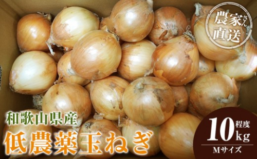 ［2026年発送分・先行予約］農家さん直送 低農薬玉ねぎ Mサイズ 10kg程度［4月中旬～7月中旬頃発送予定］［KF17］ 2339194 - 和歌山県上富田町