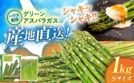 【2026年4月以降順次発送】 グリーンアスパラガス 1kg （S/ハウス栽培）《喜茂別町》【久保田農園】 アスパラ アスパラガス グリーンアスパラ 冷蔵 冷蔵配送 野菜 春野菜 季節の野菜 [AJAM013]