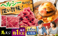 【全6回定期便】馬スジ 約1kg (約500g×2パック) / 馬肉 スジ 馬すじ 煮込み 煮物 カレー お肉 スジ肉 スジ すじ肉 料理用 馬 肉 熊本 すじ【五右衛門フーズ】 [BHCY043]