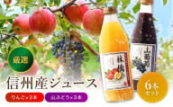 厳選素材 南信州産 ジュース 6本 セット | 小池手造り農産加工所 りんご すりおろし 山ぶどう 国産 手造り てづくり 健康 飲料 長野県 飯田市