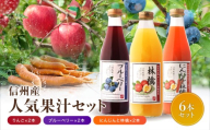 人気 果汁 ジュース 6本 セット | 小池手造り農産加工所 りんご 人参 ブルーベリー 国産 手造り てづくり 健康 飲料 長野県 飯田市