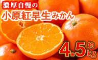 ＜先行予約！2025年11月下旬以降順次発送予定＞香川県産 小原紅早生みかん(約4.5kg) 【man358】【Aglio nero】