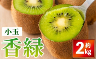 ＜先行予約！2025年11月下旬以降順次発送予定＞香川県産 香緑キウイ(約2kg/小玉) 【man354】【Aglio nero】