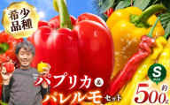 パプリカ＆パレルモ(希少品種)　Sセット　約500g | パプリカ パレルモ 野菜 希少 ジューシー フレッシュ ヘルシー ふるさと納税 信州 長野県 松本市