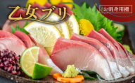 乙女 ブリ 800 ~ 1000 g 刺身 ブランド 新鮮 鰤  ぶり ブリ しゃぶ 切り身 年末 年始 高知県 須崎市 高知 鰤 新鮮 鮮魚 魚( 下処理有 )KS0321-x1230