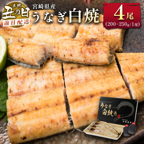 前日配送予約［土用丑の日］うなぎ白焼き 4尾 タレ付（200～250g/1尾あたり）※前日7月25日お届け 国産 有頭 熨斗 贈答品 ギフト 配送日指定可【N47-A26】 2340327 - 宮崎県新富町