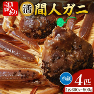 間人漁港仲買人の丸友鮮魚三代目・自慢の間人ガニ【活】生・訳アリ・間人ガニ（ズワイガニ　松葉ガニ）[600～800g×4匹]